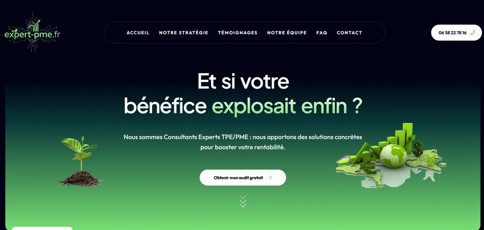 Réalisation Expert PME — Landing page conseil