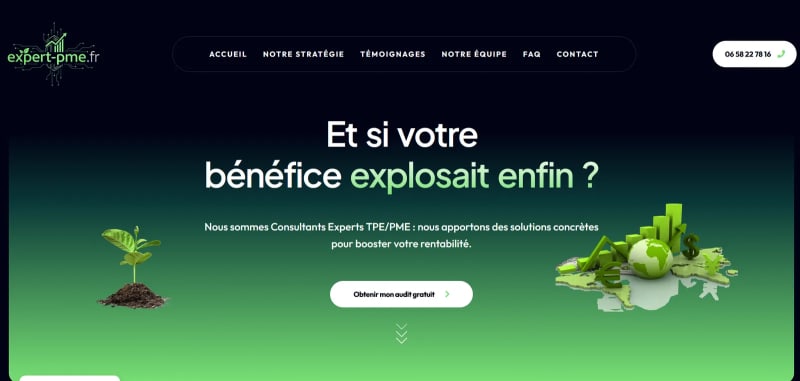 Réalisation Expert PME — Landing page conseil