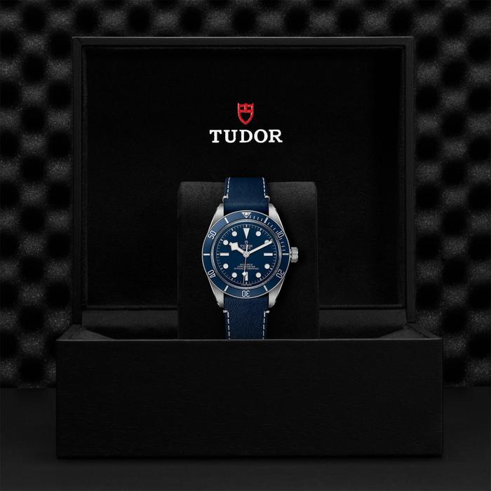 Tudor Heritage Blackbay 58 Blue Dial Leather thumbnail 4