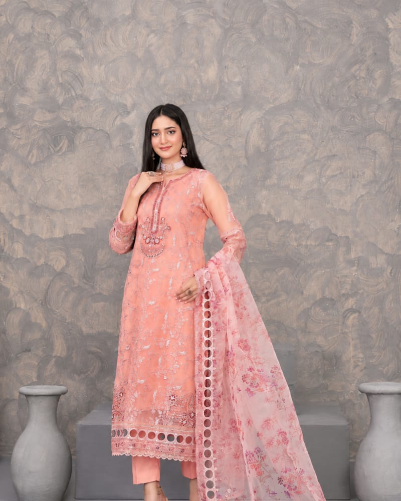 Fancy Heavy Embroidered Organza 3-Piece Suit