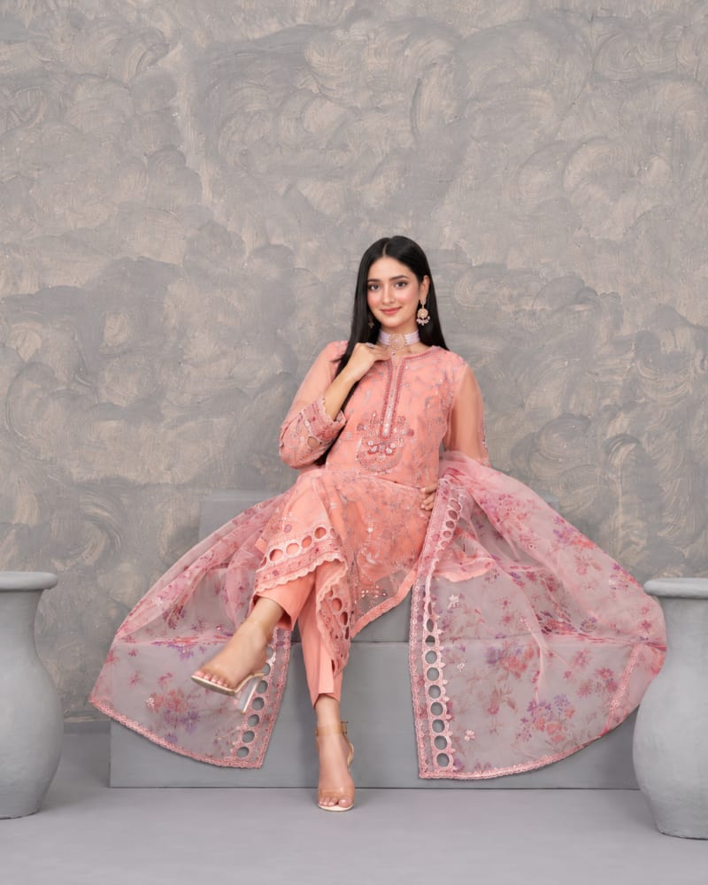 Fancy Heavy Embroidered Organza 3-Piece Suit