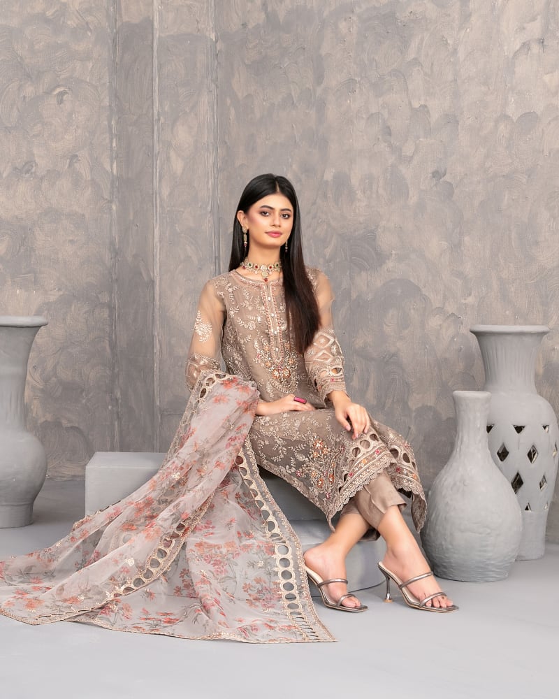 Fancy Heavy Embroidered Organza 3-Piece Suit