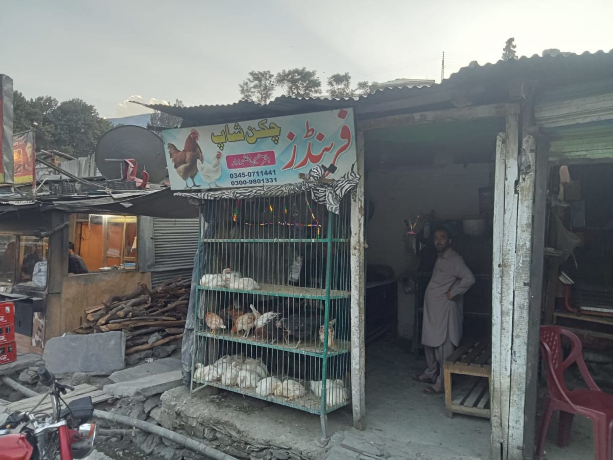 Friends Chicken Shop Chitral — photo