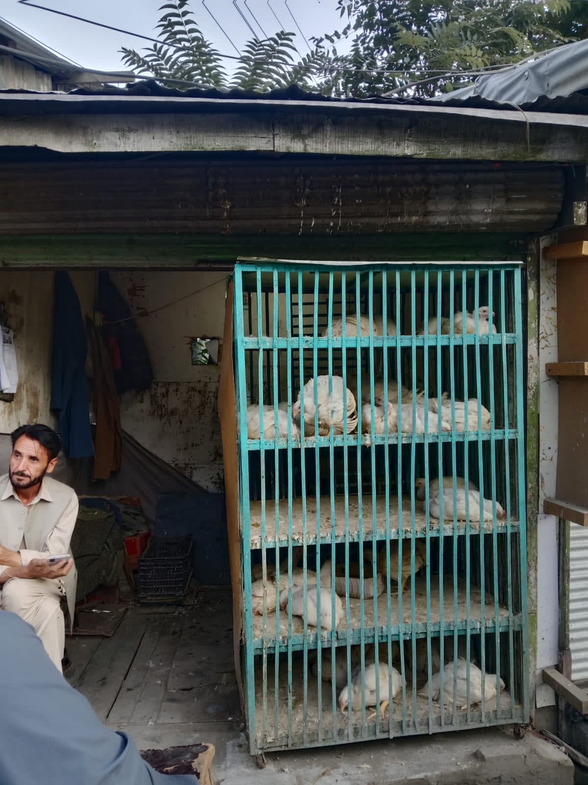 Nadir chicken shop — photo