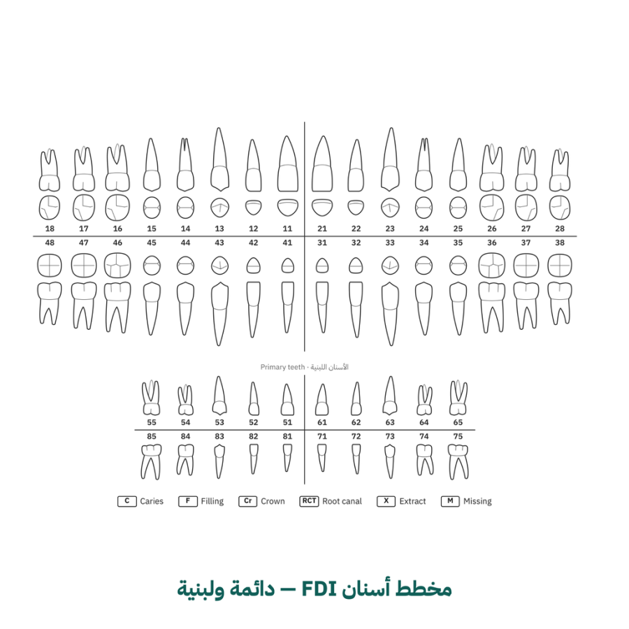 دفتر مواعيد عيادات الأسنان — 25 مريض - 4