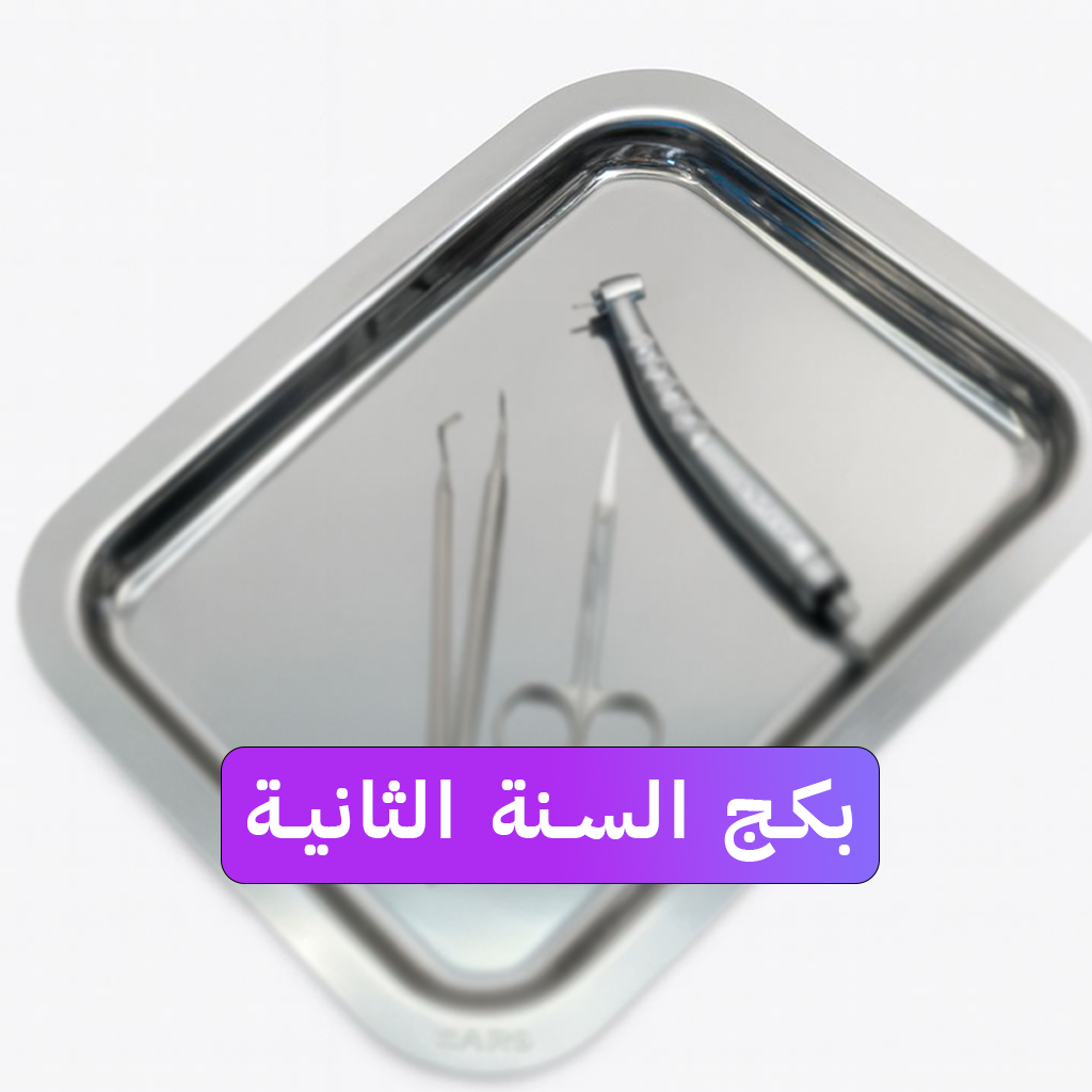 بكج السنة الثانية دمشق