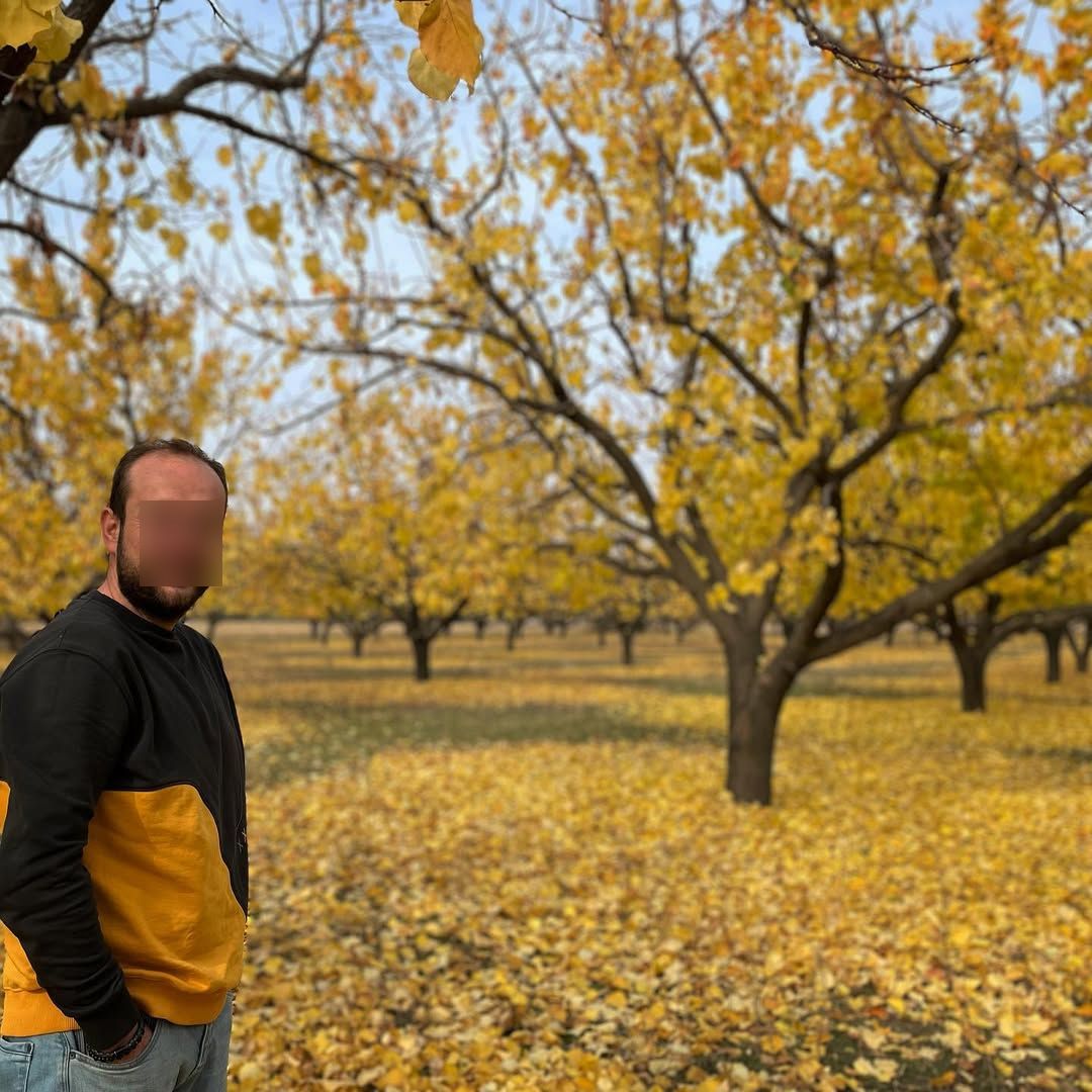 Melekli Kayısı Bahçeleri