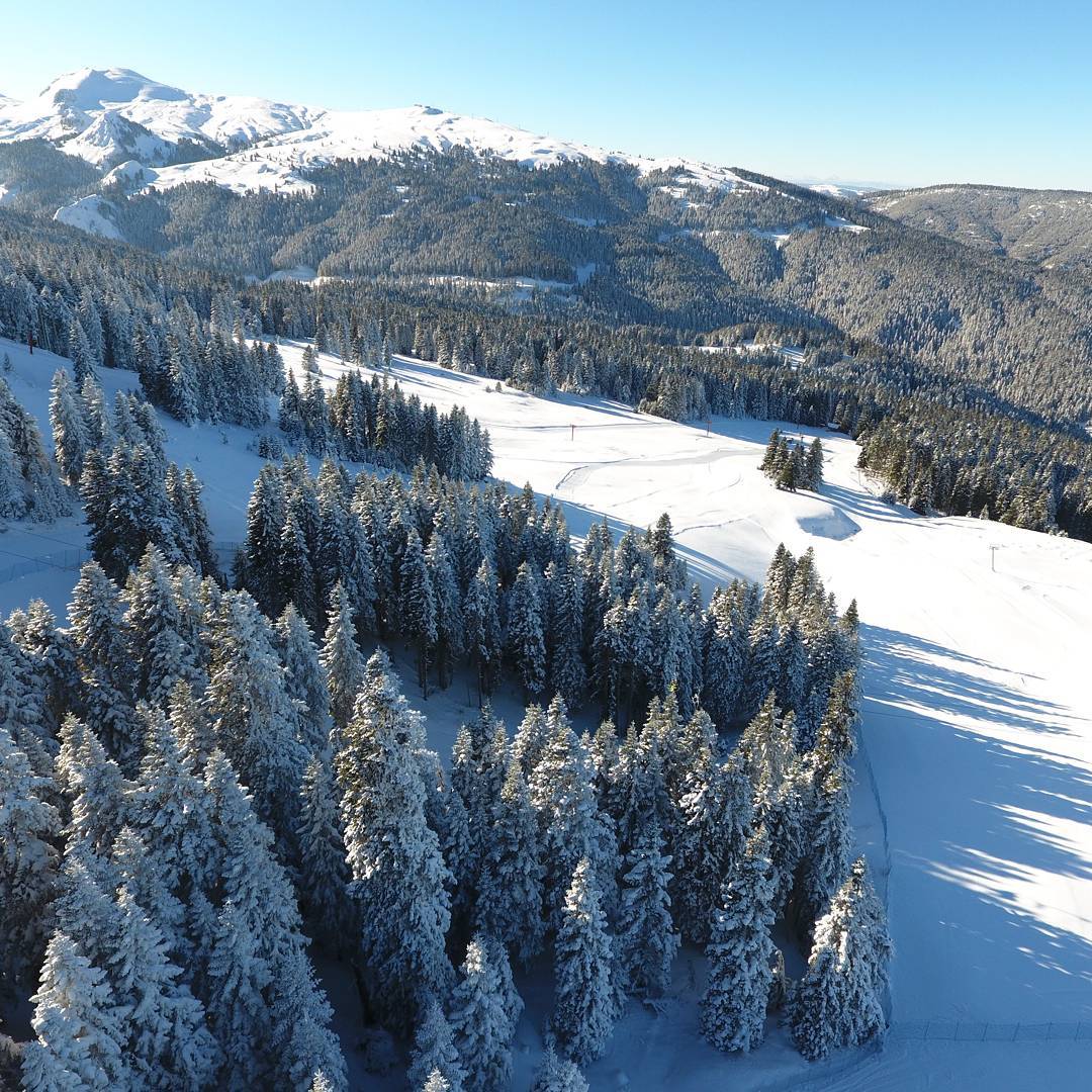 Ilgaz Dağı Milli Parkı