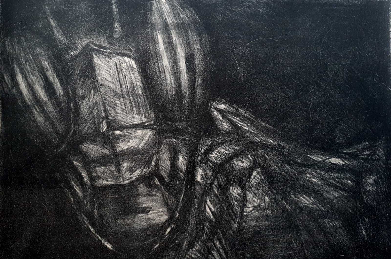 Artwork of Helena Blagojevic, name:Untitled , dimensions: 70 cm x 100 cm, technique: Lithography, made in year: 2022