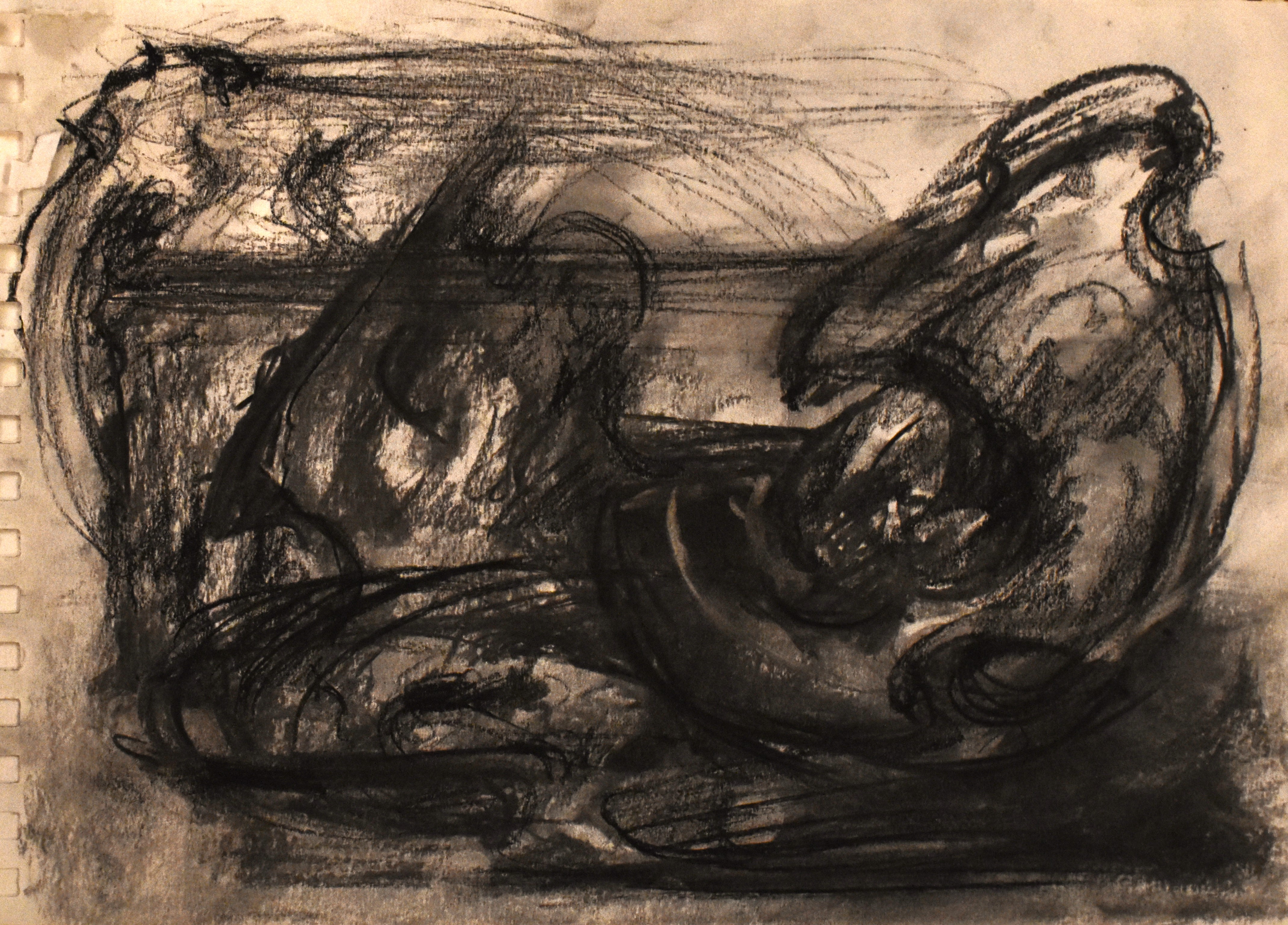 Artwork of Helena Blagojevic, name:Untitled, dimensions: 42 cm x 29 cm , technique: charcoal, made in year: 2024