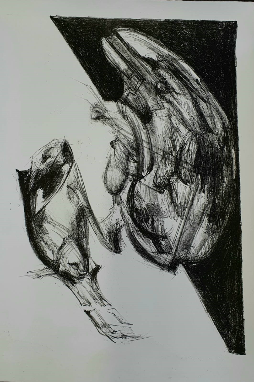Artwork of Helena Blagojevic, name:Untitled, dimensions: 100 cm x 70cm, technique: Lithography, made in year: 2024