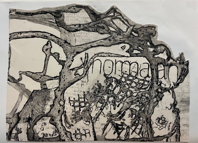 Name:Untitled, dimensions: 45cm x 35cm, technique: ink on paper