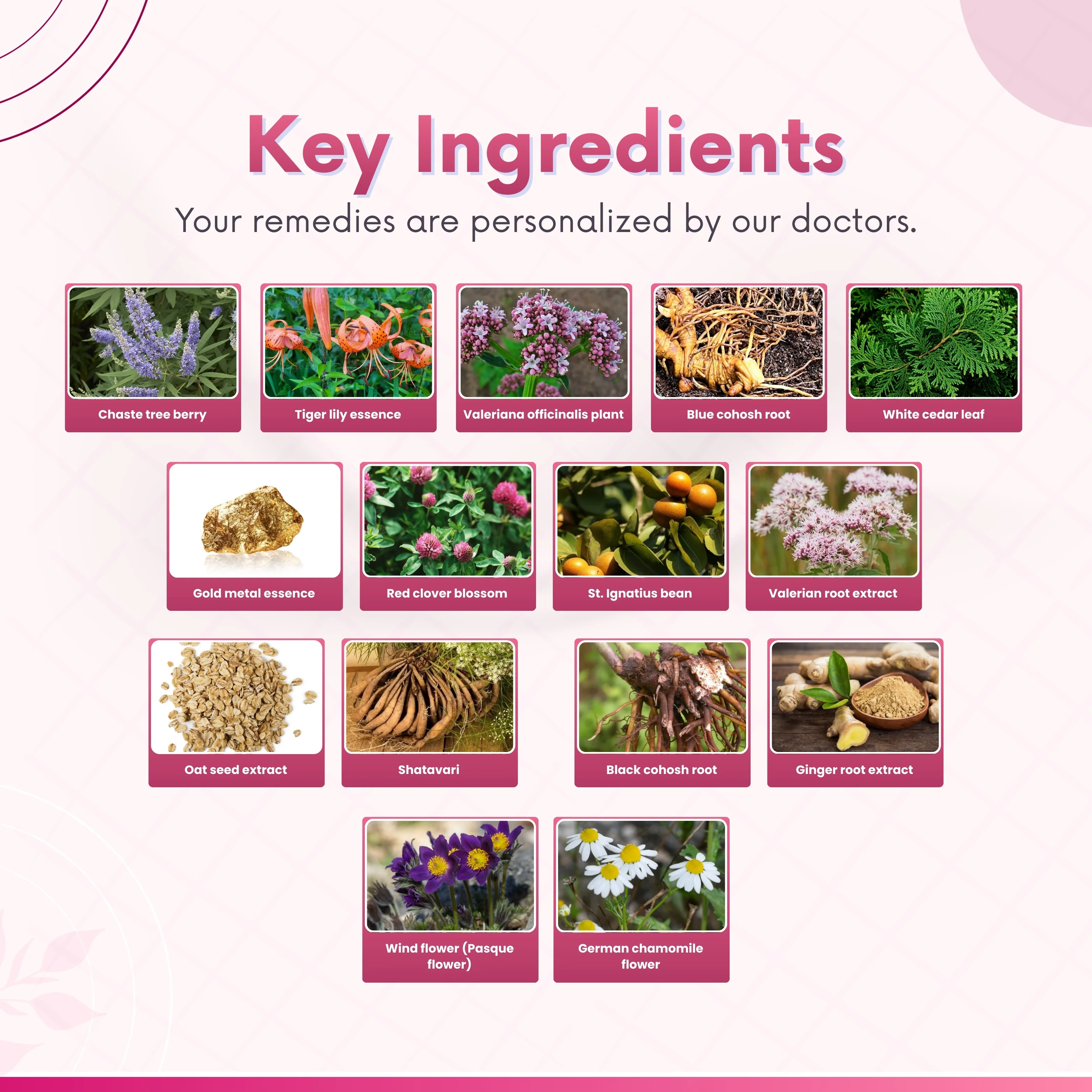 Pure Flow – Leucorrhea Support