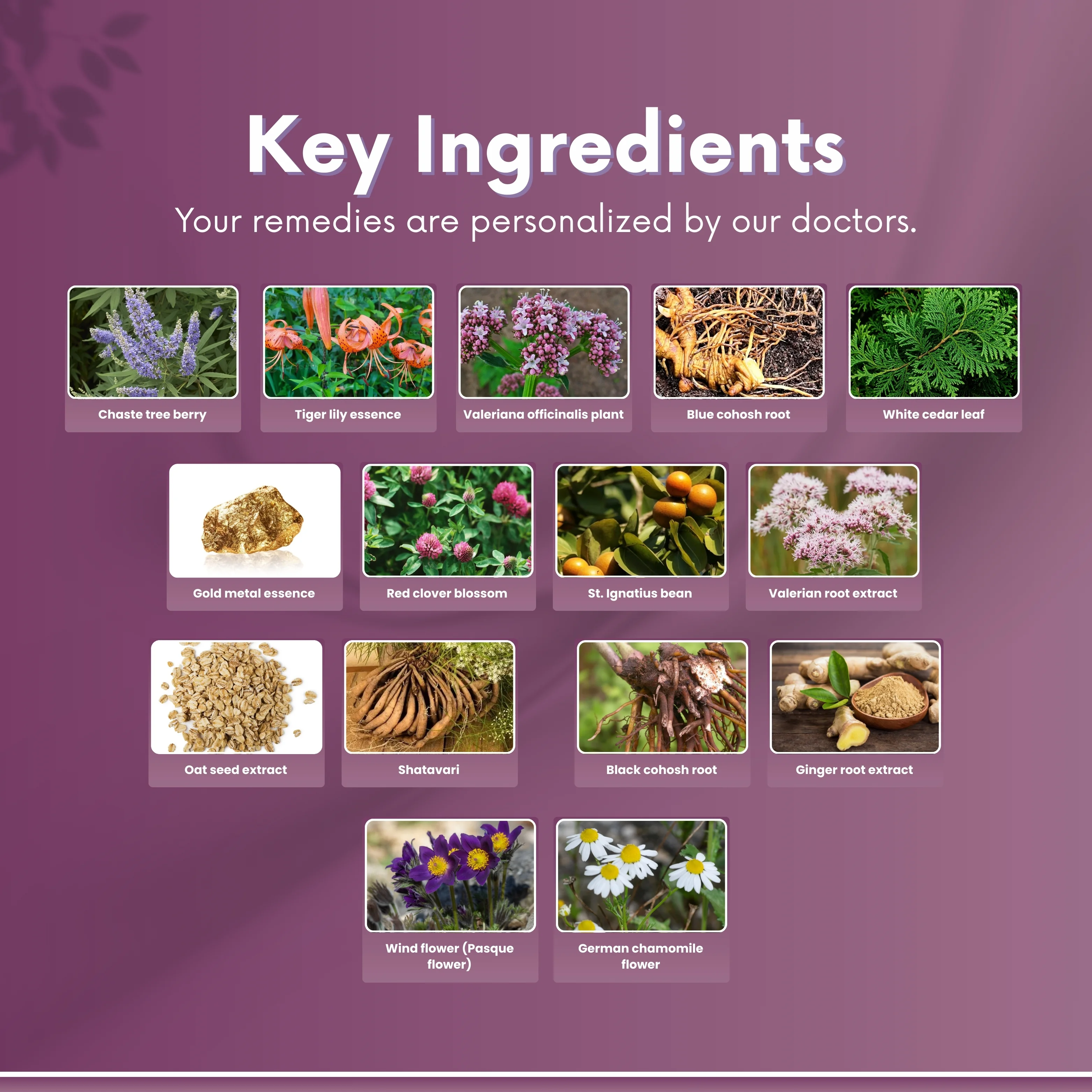 Ease Beyond - Post-Menopause Balance