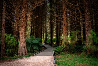 Portfolio photograph by HJC Media