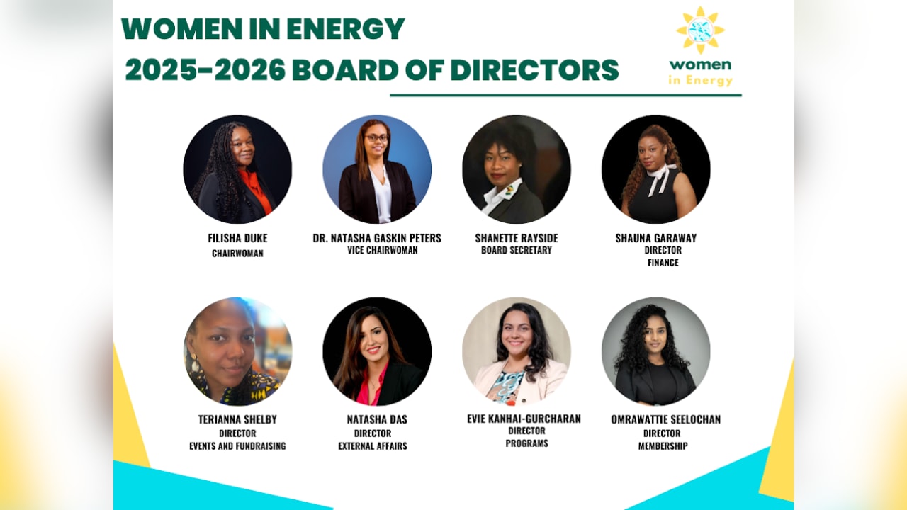 New Women in Energy Board of Directors elected 