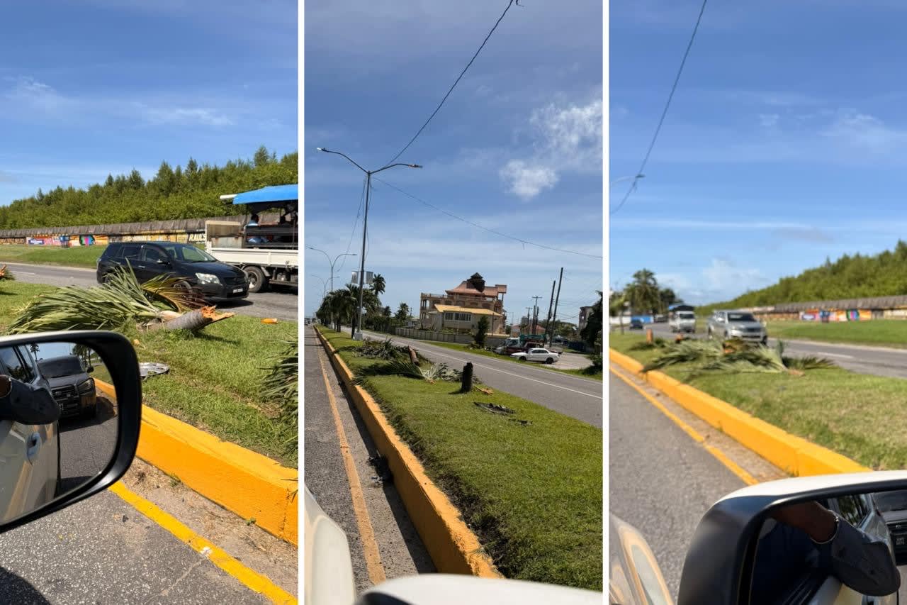 Concerns flagged over destruction of trees along Rupert Craig Highway