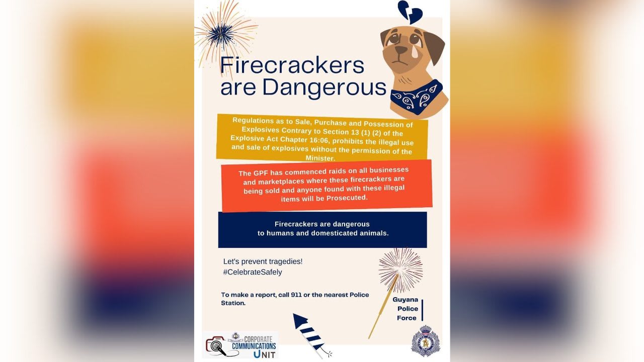 Police in stern warning against private use of fireworks, notes injuries to people; animal group flags trauma to animals