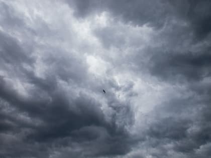 В акваториях Тихого океана и Берингова моря объявлено штормовое предупреждение