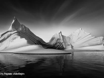 Виртуальная выставка: «Тени цветов»