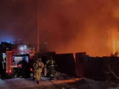 Пожарные на Камчатке вынесли из огня семь собак