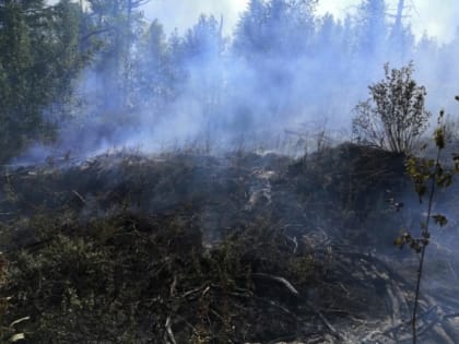 На Камчатке в трёх населённых пунктах повысился класс пожарной опасности