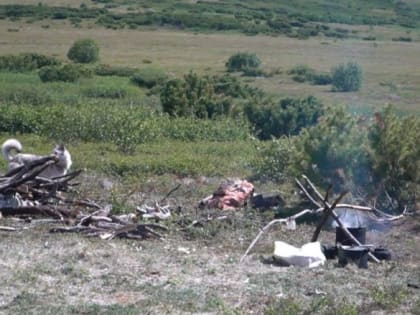 Нового главу Тигильского района Камчатки выберут 15 марта