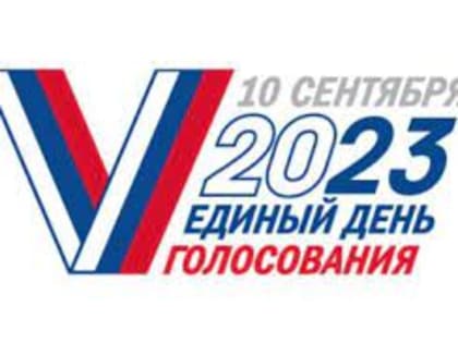 Жителям Камчатки этой осенью предстоит избрать четырёх глав муниципалитетов и 59 депутатов