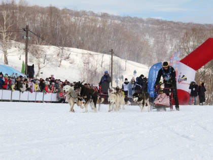 В гонке на собачьих упряжках «Елизовский спринт — за Победу» на Камчатке примут участие 15 каюров