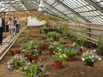 Власти Петропавловска-Камчатского решили спасти совхоз декоративных культур