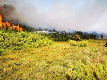 На заповедных территориях Камчатки возросла вероятность природных пожаров