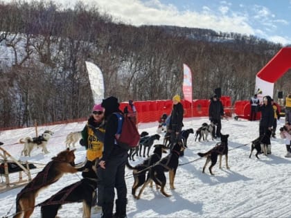 Каюры Avacha RACE преодолели третий этап гонки по Налычевской долине на Камчатке