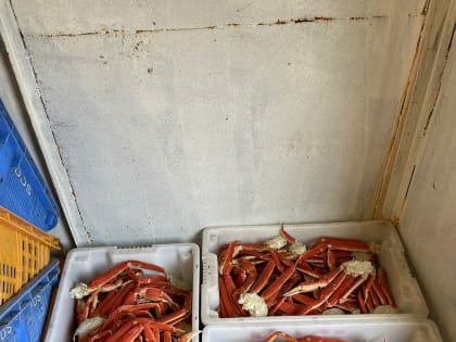 Капитан катера на Камчатке выловил слишком много крабов и попал под следствие