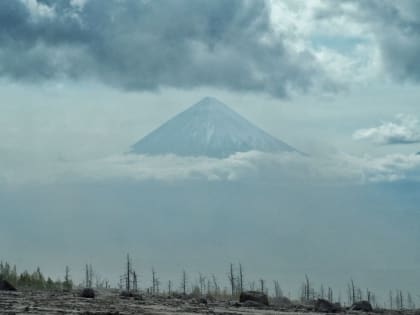На Камчатке вулкан Ключевской выстрелил пеплом на высоту 5 километров