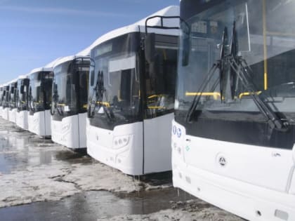 На Камчатке обновят автобусный парк