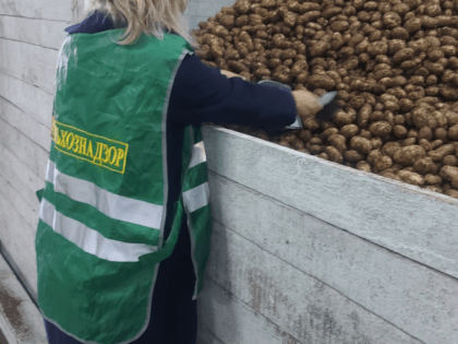 Первую партию камчатских овощей отправили на Чукотку