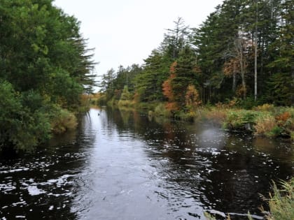 Камчатские синоптики уточнили прогноз подъёма уровня воды в реке Большой Воровской