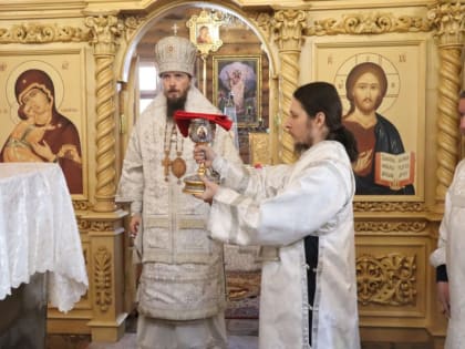 В Крещенский сочельник Архиепископ Феодор совершил Литургию в храме блгв. князя Александра Невского