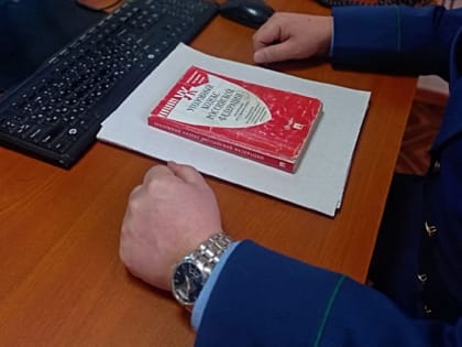 Елизовчанка приговорена к исправительным работам за неуплату алиментов на шестерых детей