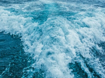 Российские силы уничтожили десантные катера ВСУ в Черном море