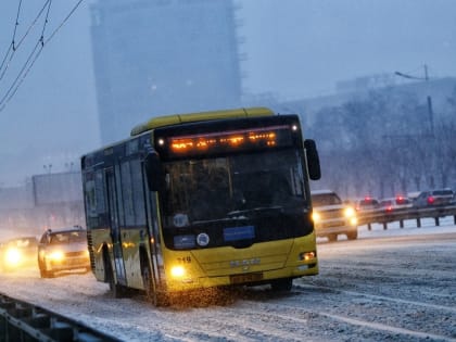 Количество рейсов междугородних автобусов в отдаленные районы Камчатки временно сократится