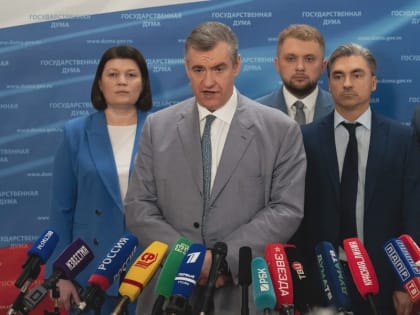 ЛДПР предложила обязать работодателей переводить ухаживающих за престарелыми на удалёнку