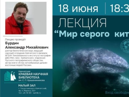 О серых китах камчатцам расскажет ученый Александр Бурдин