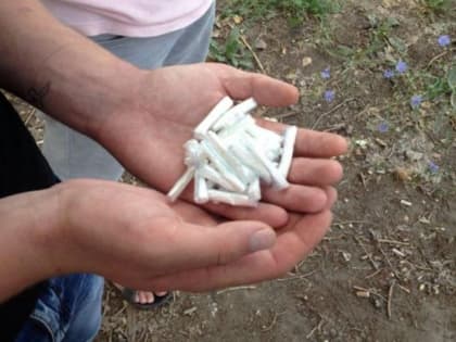 Любитель «синтетики» попался полицейским в лесополосе Петропавловска