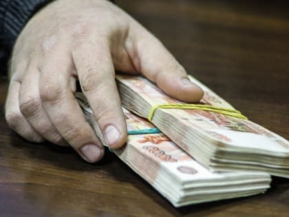 За предоставление ложных сведений с целью получения выгоды осудят мужчину в Хабаровске