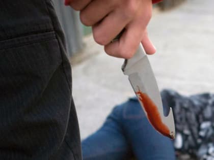 На Камчатке следователи подозревают в истязании ребенка отца, на которого напал сын-подросток