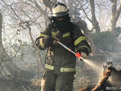 На Камчатке 43 пожарных тушили сухую траву