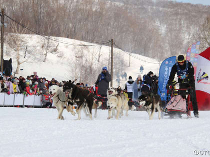 На участие в «Елизовском спринте» заявились 15 каюров
