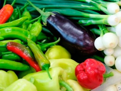 Жители Камчатки, имеющие подсобное хозяйство, могут получить льготные кредиты