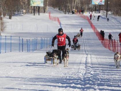 Юных спортсменов гонки «Дюлин» наградят в номинации «За верность традициям севера»